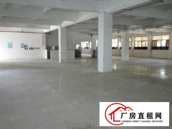  望牛墩小独院厂房两层1000平方出租，配套齐全