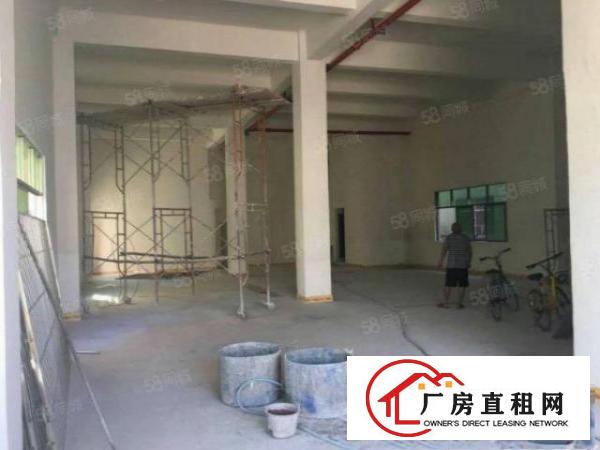  望牛墩标准厂房1500平方拎包入住便宜出租，证件齐全