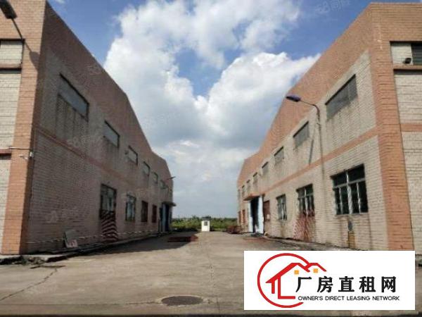  望牛墩镇原房东单层厂房1500平方出租（空地地大）