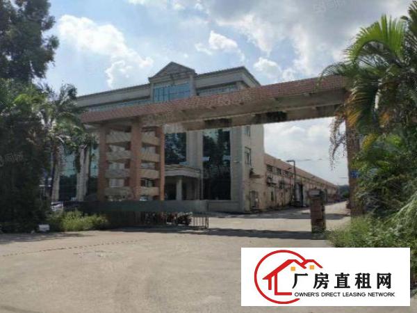  望牛墩镇原房东单层厂房1500平方出租（空地地大）