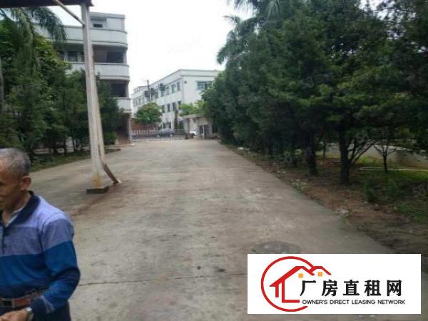  望牛墩原房东花园式单一层独院厂房招租。