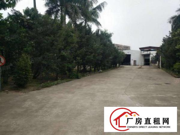  望牛墩原房东花园式单一层独院厂房招租。