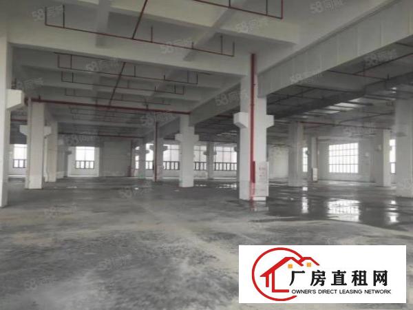  望牛墩镇一手房东独院高大上厂房6600平方出租