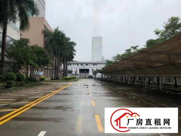  原房东花园式独院厂房。形象！