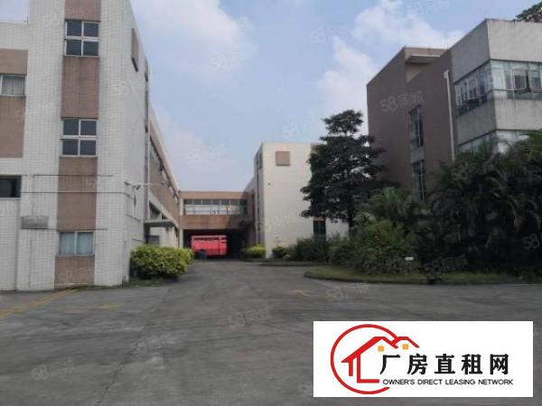  原房东花园式独院厂房。形象！