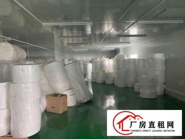  望牛墩已空出独门独院厂房一共2600平方，全新地坪漆