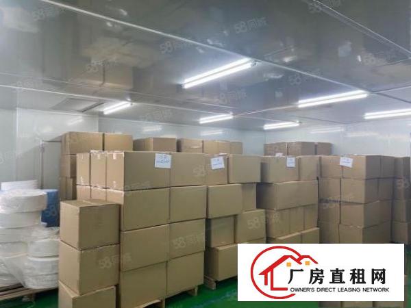  望牛墩已空出独门独院厂房一共2600平方，全新地坪漆