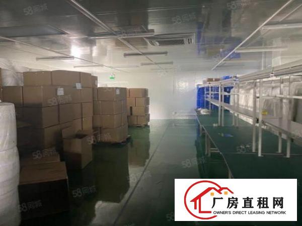  望牛墩已空出独门独院厂房一共2600平方，全新地坪漆
