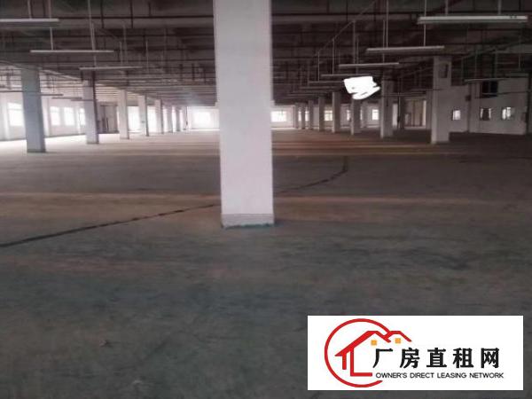 出租洪梅双证厂房，交通便利，可办环评