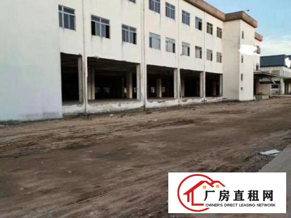  出租洪梅双证厂房，交通便利，可办环评