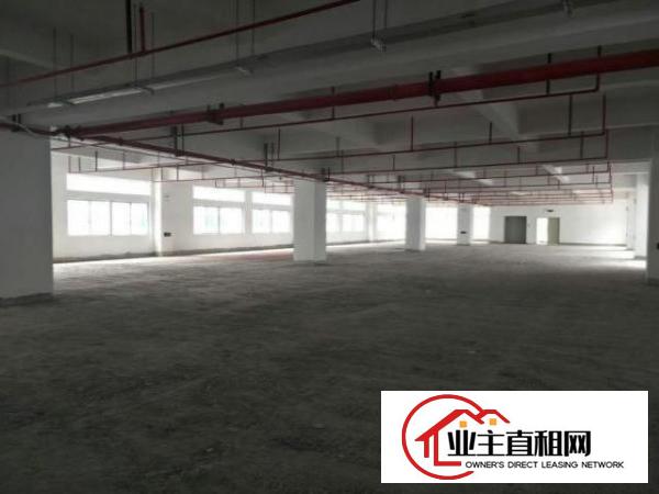  洪梅标准厂房分租1000平米一楼厂房超大超靓