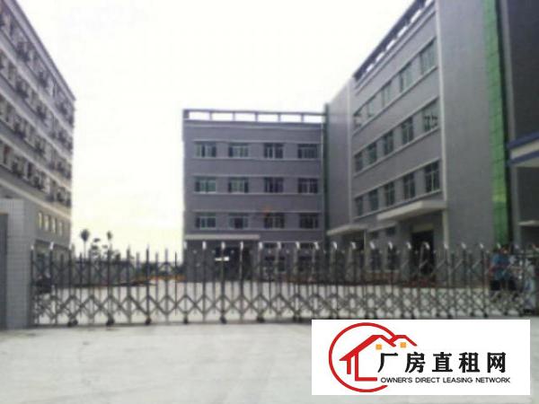  洪梅一楼厂房出租1500平方出租
