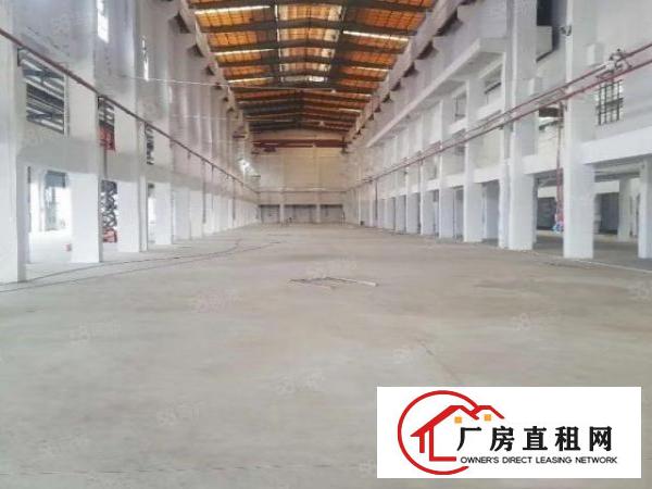  洪梅镇一手房东新建标准物流仓，丙类消防，国有双证