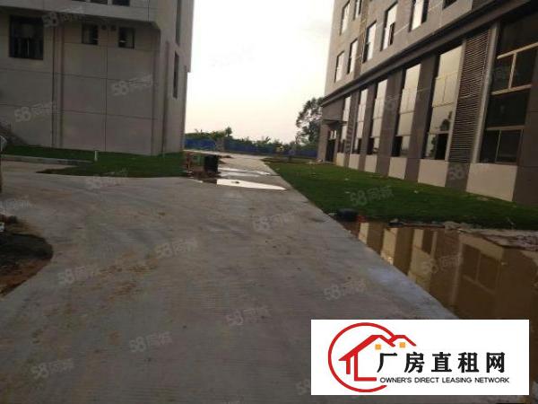  洪梅镇全新厂房，有VOC排放，政府扶持红本厂房可以办环评.