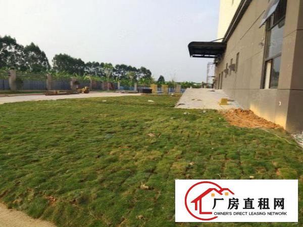  洪梅镇全新厂房，有VOC排放，政府扶持红本厂房可以办环评.