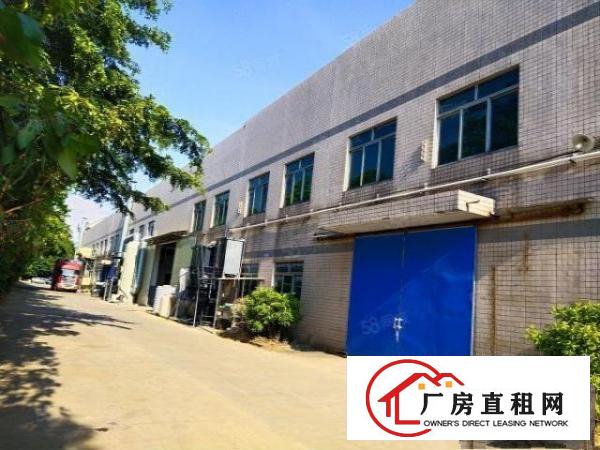  洪梅镇独院厂房空地大滴水9米证件齐全有卸货平台，中间没有柱子