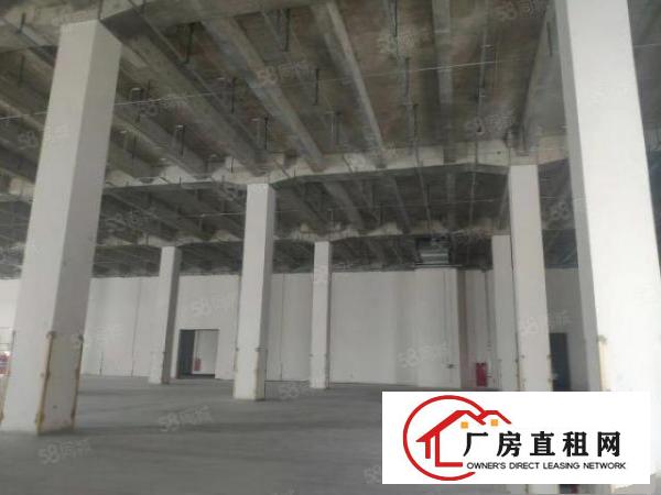  净高9米标准高台仓储物流园，总建筑23万，空地1万