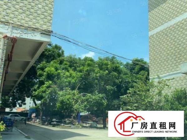  原房东直租国有证经典小独院。有独立办公楼，空地大可办环评