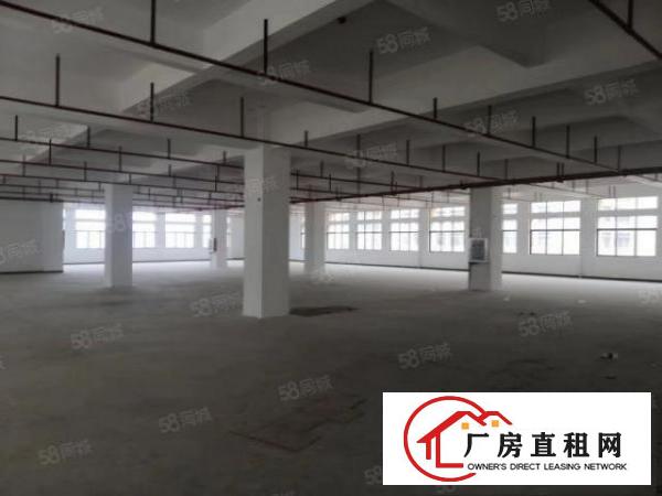  洪梅沿江高速出口旁全新高标重工业厂房招租，证件齐全可办环评
