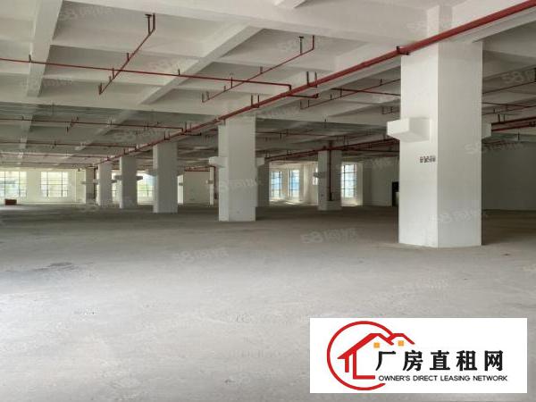  洪梅沿江高速出口旁全新高标重工业厂房招租，证件齐全可办环评