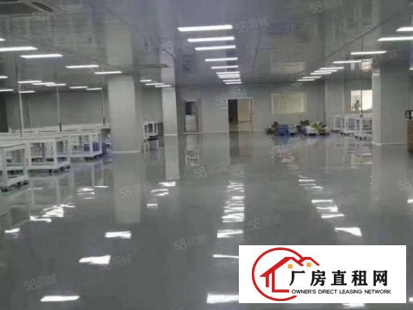 代理洪梅500一50000平米厂房仓库