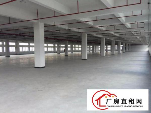 东莞市化工厂房招租洪梅镇危险品仓库出租仓储招商