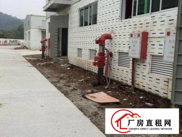  甲类化工厂房仓库出租位于东莞有独院化工厂房出租