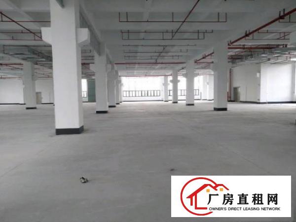 标准厂房，重工厂房，带牛腿
