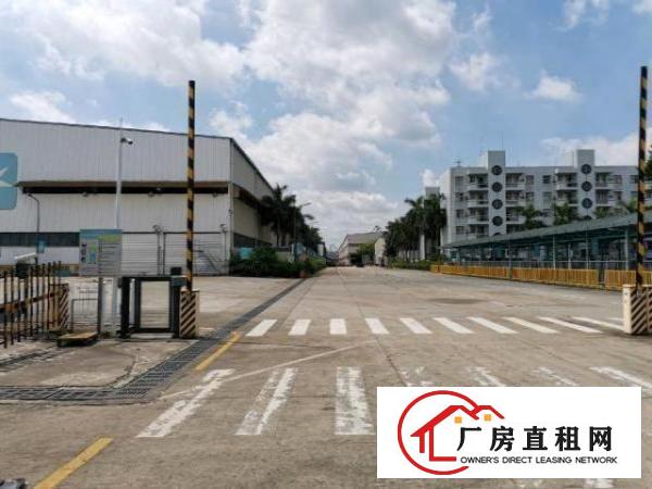  道滘镇洪梅镇独门独院可做电商、物流、仓储
