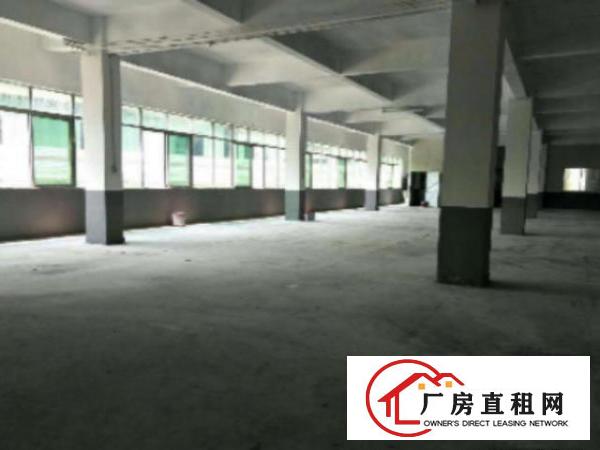  万江标准一楼或楼上1000平方急租(现成办公室)交通方便