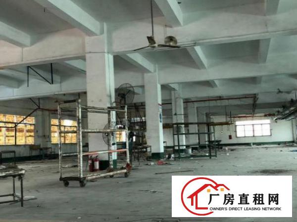 万江主干道标准一楼厂房950㎡出租配套齐全