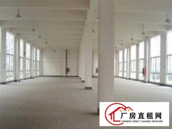  万江工业区标准一楼1900平方招租水电齐全五金塑胶等行业