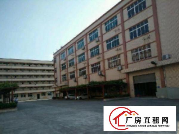  万江标准一楼厂房600平米低价招租