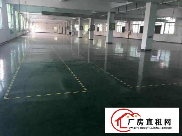  万江标准一楼厂房600平米低价招租