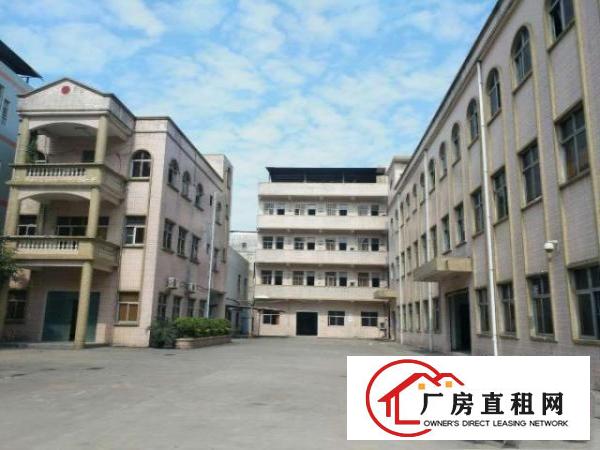  万江标准一楼厂房600平米低价招租