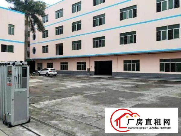  万江标准一楼厂房600平米低价招租
