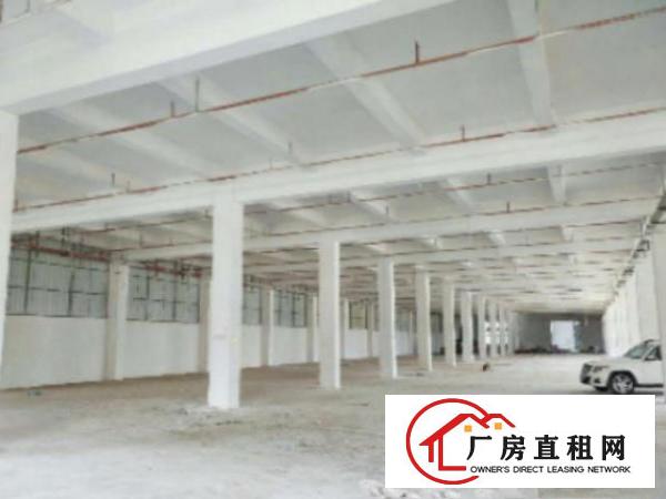  万江工业区标准一楼3000平方招租配电按需消防水电齐现成办公