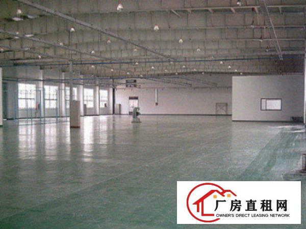  万江周边一楼厂房出租5001500、2000平方出租