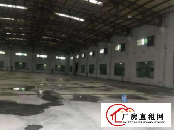  万江工业园9米高单一层1000平方出租电按需宿舍按需空地大