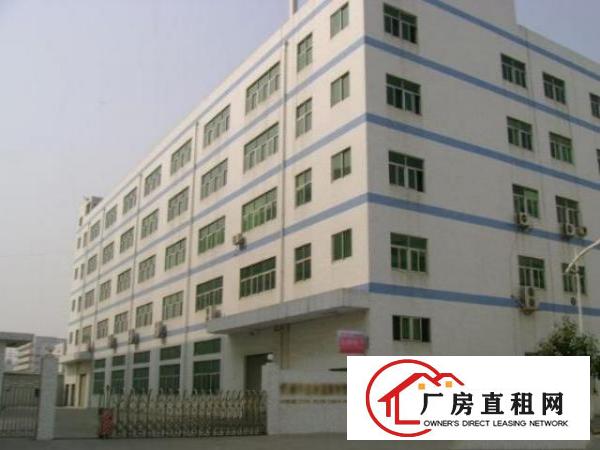  工业区新出一楼7米高1000平带豪华办公室装修