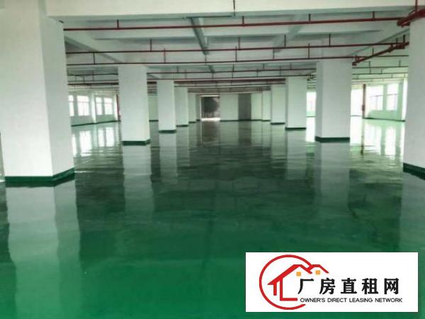  万江带现成装修标准一楼500或800平方招租