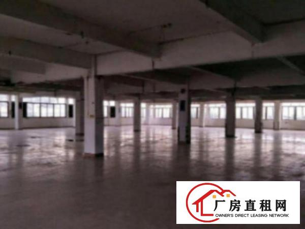  万江5000平方标准独院3层花园式厂房招租交通方便