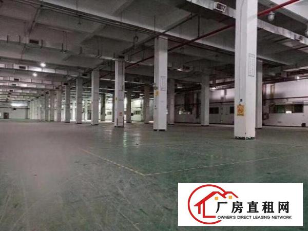  万江石美新出独院标准厂房一楼1500平方出租可分租