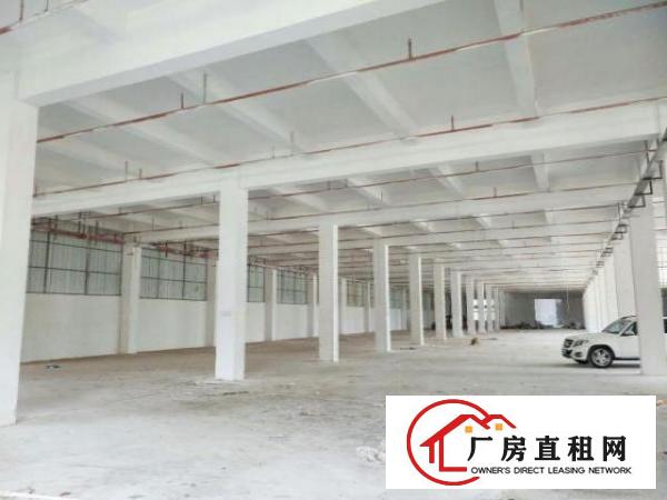  万江标准一楼厂房500-5000平米低价招租