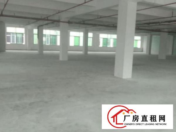  万江标准一楼厂房500-5000平米低价招租