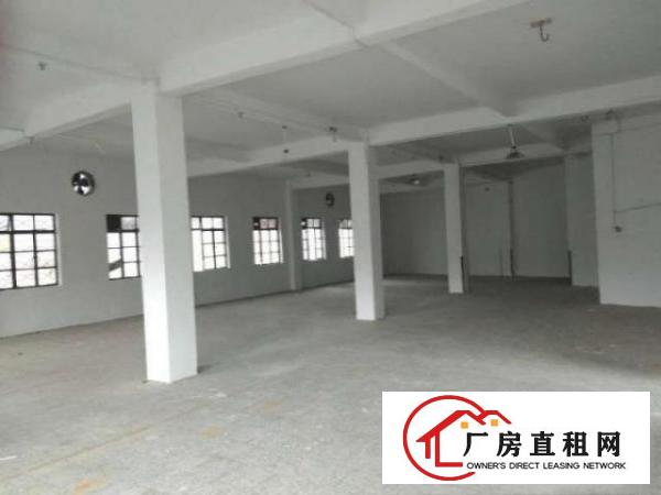  万江石美附近工业区标准厂房2楼1500平方出租宿舍按需,电按