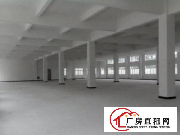  万江一楼厂房出租50015002000平方出租可办环评