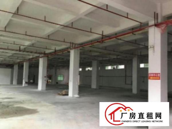  万江流涌尾工业区标准一楼1400平方招租水电齐全