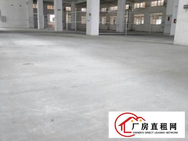  万江工业区标准厂房分租楼上2、3楼2000平方有精装办公室