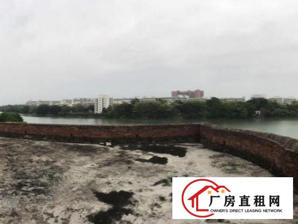  万江石美滘杯村一线江景私宅放租！